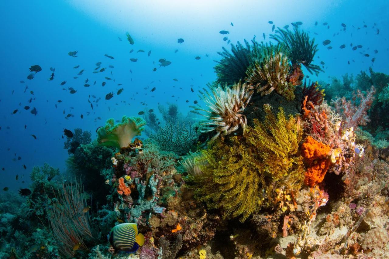 Metita Beach & Dive Resort Daruba Εξωτερικό φωτογραφία