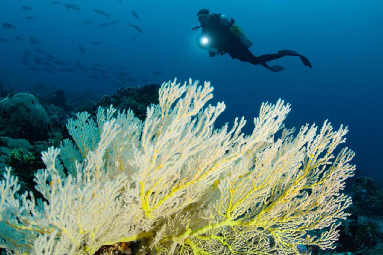 Metita Beach & Dive Resort Daruba Εξωτερικό φωτογραφία
